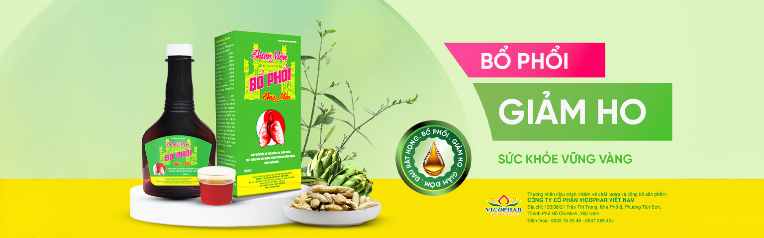 Bổ phổi giảm ho sức khỏe vững vàng
