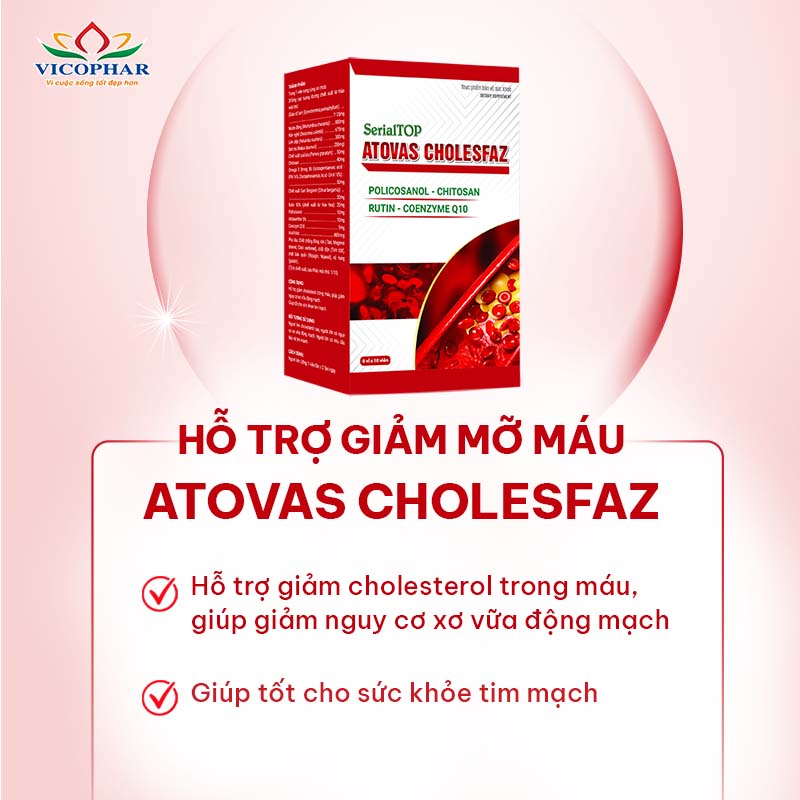 Công dụng Giảm mỡ máu Atovas Cholesfaz