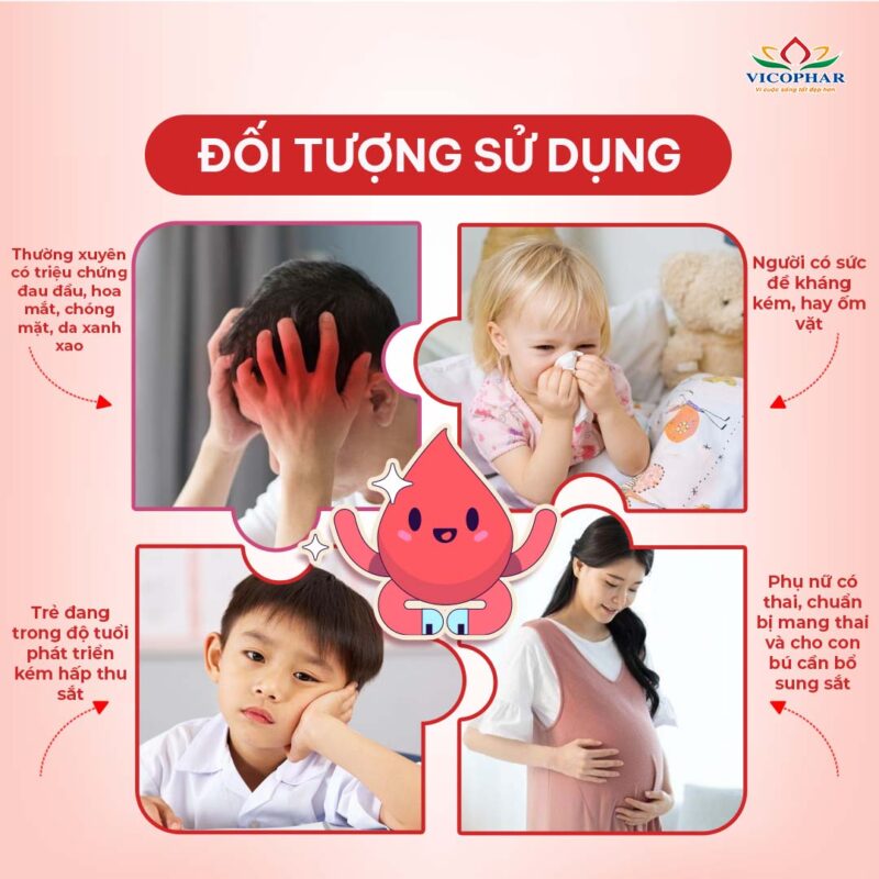 Đối tượng sử dụng Sắt Feirontop