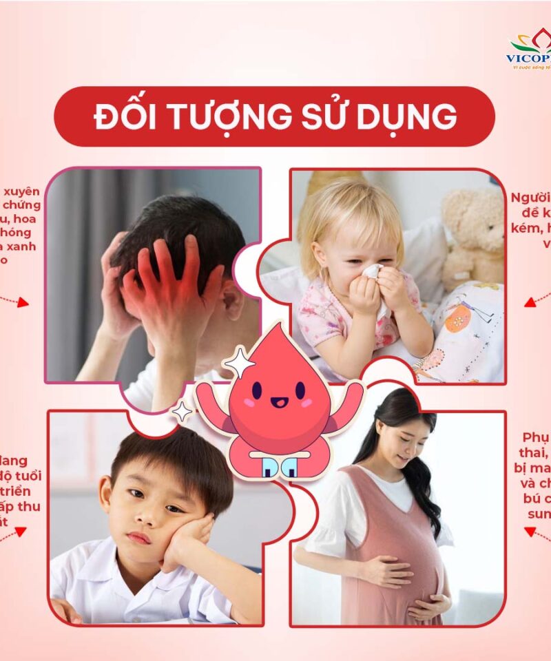 Đối tượng sử dụng Sắt Feirontop