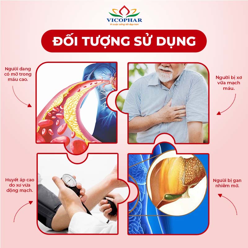 Đối tượng sử dụng Giảm mỡ máu Atovas Cholesfaz