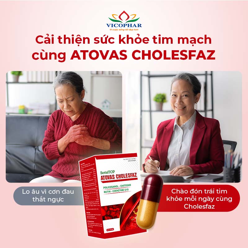 Giảm mỡ máu Atovas Cholesfaz