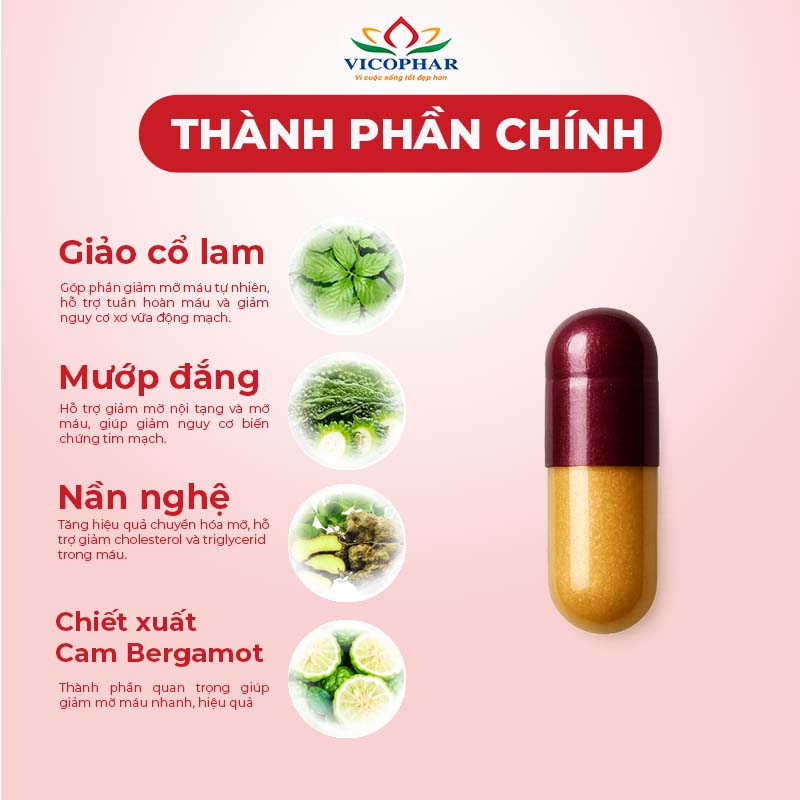 Thành phần giảm mỡ máu Atovas Cholesfaz