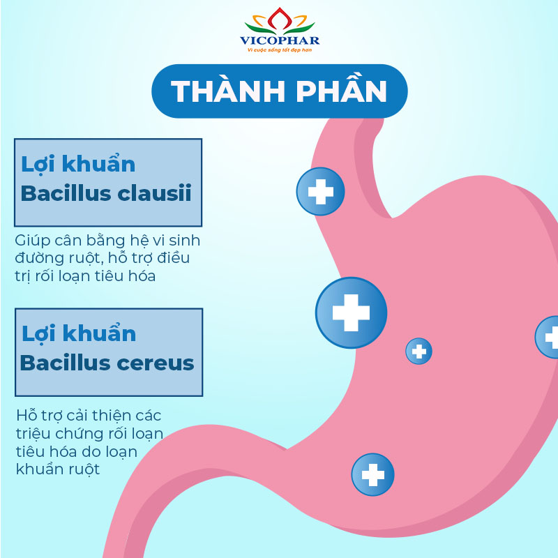 Thành phần men vi sinh Enter Probi