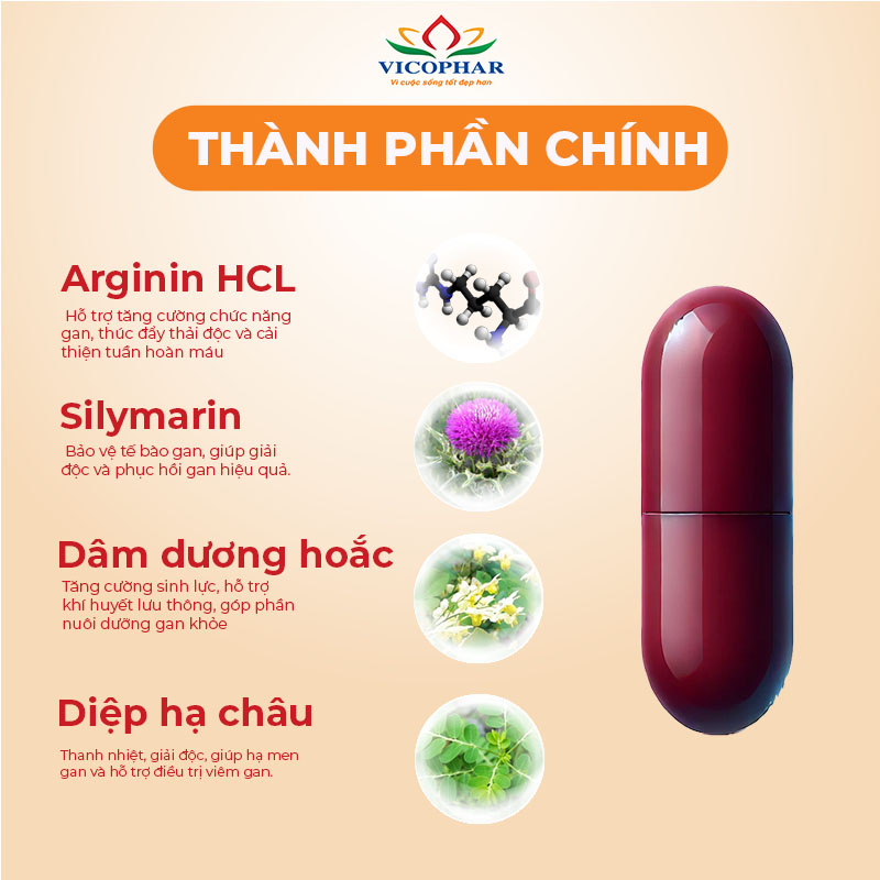 Thanh phần chính của giải độc gan Active Liver