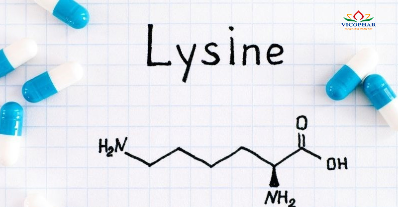 Lysine - cơ chế giúp trẻ ăn ngon