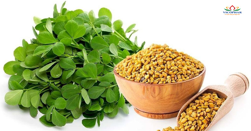 Cỏ Cari cải thiện tình trạng biếng ăn rất tốt cho trẻ