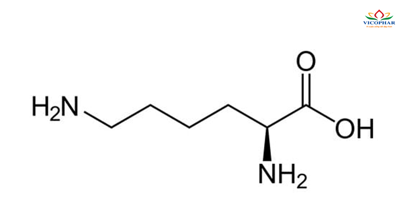 Vi chất Lysine - acid amin thiết yếu giúp tăng cảm giác thèm ăn