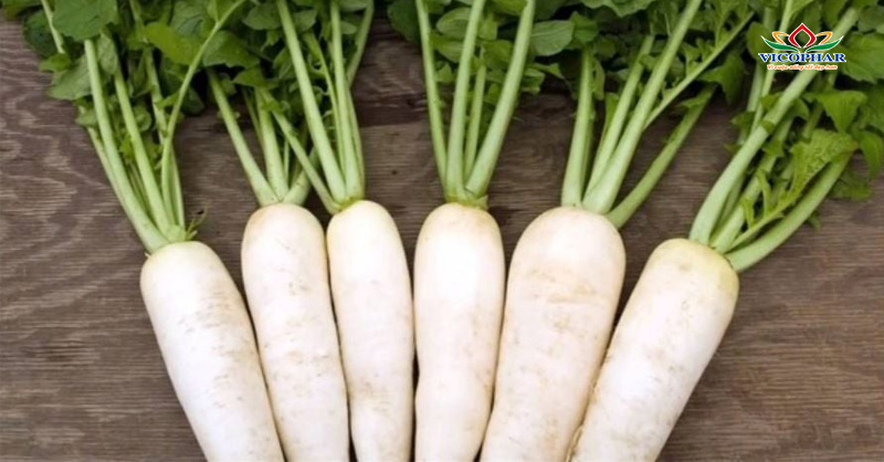 Củ cải đường giàu sắt và tăng cường máu, dễ nấu súp hoặc nấu cháo cho trẻ nhỏ.